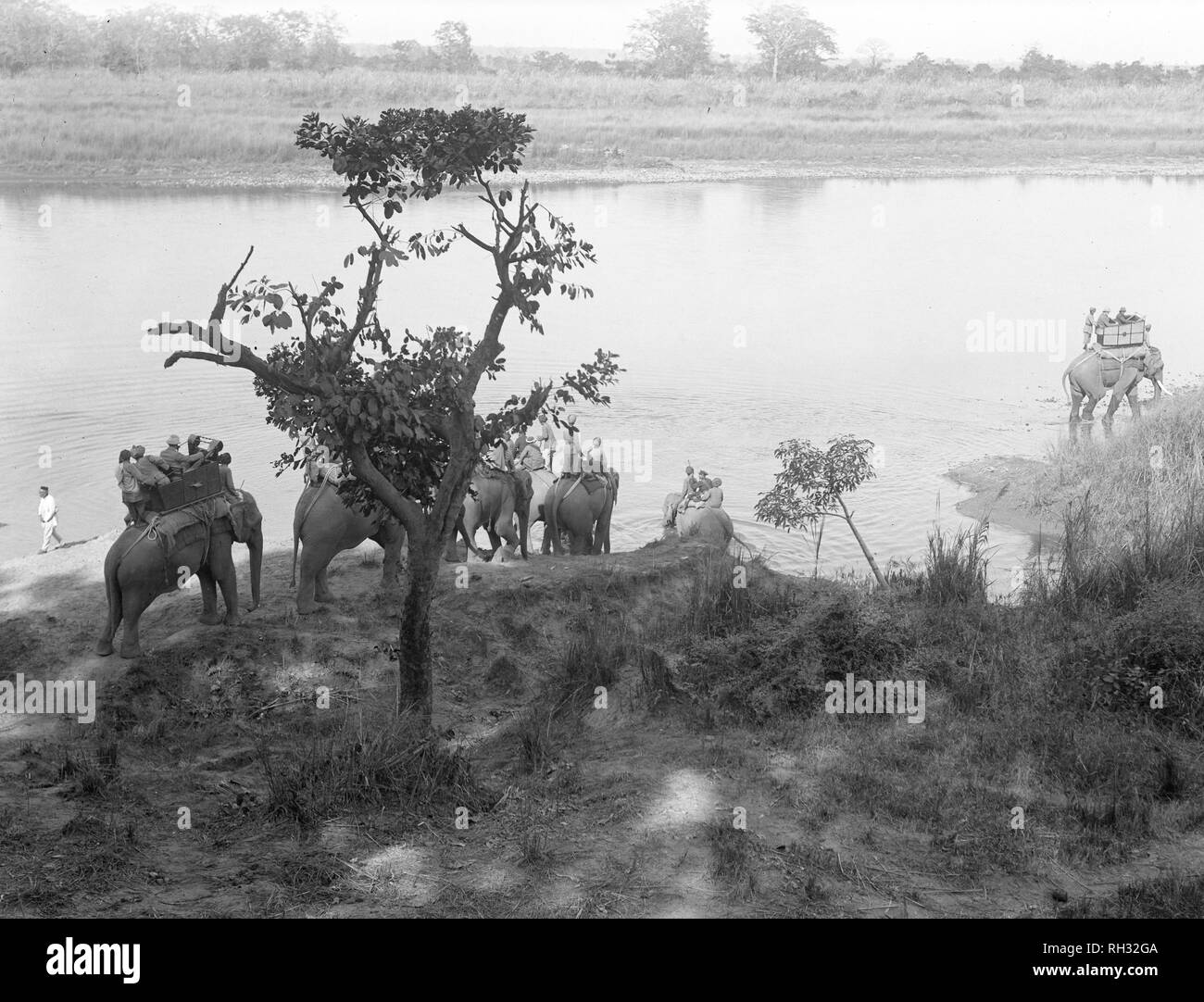 Le roi George V, chasse au Népal, suite à une invitation du roi du Népal. Le Roi utilisé cette équipe pendant la chasse. Banque D'Images