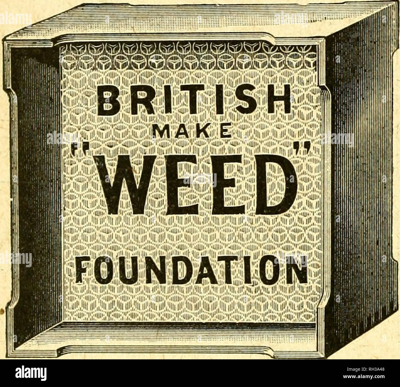 . British bee journal &AMP ; conseiller les apiculteurs. Les abeilles. vi LE BRITISH BEE JOÂ¥énal. [Avril 27, 1916. BADANrS FONDATION LUTTE CONTRE LES MAUVAISES HERBES. Garantie. L'herbe de l'DADANT FOUNDATION est garanti exempt de tout' les germes de la maladie. Chaque feuille est parfait, et les abeilles nwer refuser. Aucun véritable sans le filigrane "DADANT" Mrery sur feuille. Nos ruches et les appareils sont CLAS^'A', la sécurisation : sept premiers prix au Highlai^d'Agricultural Society's montre à Paisley et Hawic^. Lire l'American Bee Journal, le plus beau papier d'abeilles dans le monde. Une bwk. Premières leçons dans "BE"-- dossiers." ou " Dool Banque D'Images