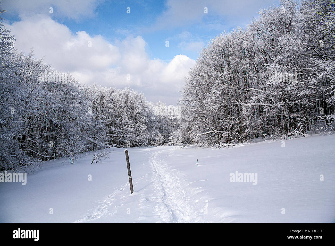 Ustrzyki Gorne, Pologne - 24 Février 2018 : piste de montagne de Tarnica en hiver. Le Parc National de Bieszczady en hiver. L'hiver dans les Bieszczady. Snow-co Banque D'Images