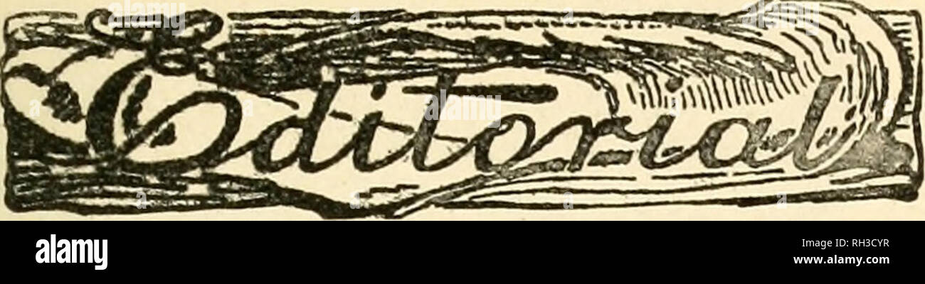 . British bee journal &AMP ; conseiller les apiculteurs. Les abeilles. Le 30 avril 1914] LE BRITISH BEE JOURNAL. 171. L'examen. L'Ape e la sua coltivazicme, par A. De'Rauschenfels : Ulrico Hoepli (Milan, prix 8,50 lires,  = 7s.).-c'est une deuxième édition de ce manuel par la fin de l'éditeur de L'Apicoltore, révisé par l'actuel rédacteur de ce document, signataire C. Asprea. Le volume avant nous n'a été élargie avec compétence-, et a maintenant 463 pages 9iin. par 6^in. Il contient également des chiffres 116 et 16 portraits, au lieu des soixante-six figures dans l'ancienne édition. L'histoire naturelle a été bien traitée et le mauvais Banque D'Images