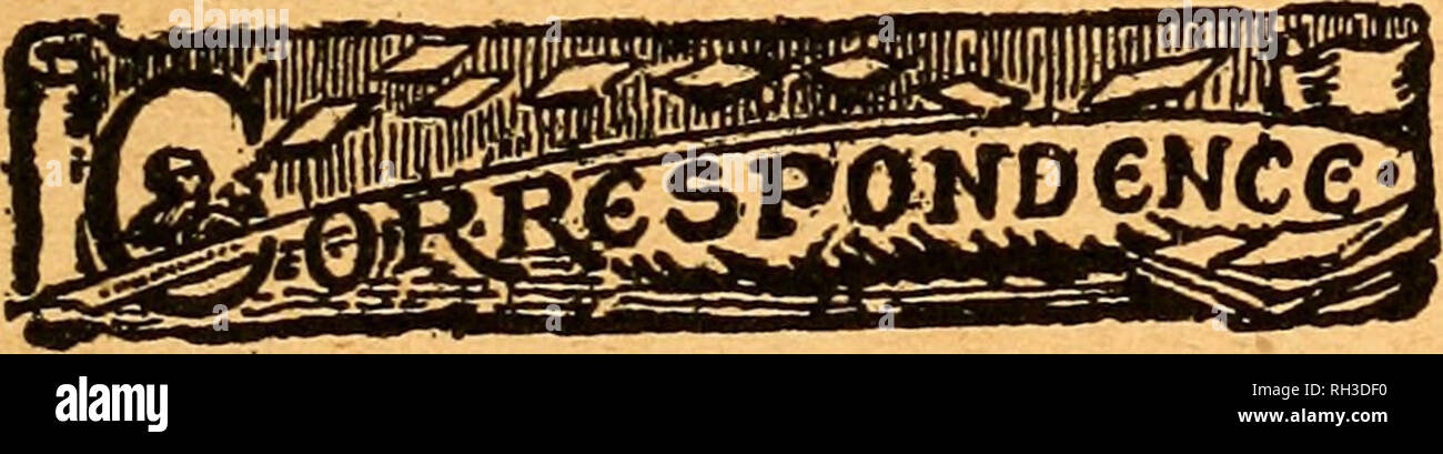 . British bee journal &AMP ; conseiller les apiculteurs. Les abeilles. 18 septembre, 1919. La BRITISH BEE JOURNAL. 411 la classe 8.-1, E. C. E. Holloway, Bur- bien, Cambridge ; 2, T, A. Denison, Nap- tonne, Rugby ; 3, Albert E. Wari'en, Simp- son, Bletcliley. La classe 9.-1, T. A. Denison, Napton, Rugby ; 2, Henry Cleaver, Leamington ; 3, John Corbett, Knowle. La classe 10.-1, T. A. Denison, Napton, Rugby ; 2, F. Steele, Dunchurcli ; 3, Mlle E. Poole, de l'est vert, Coventry. Classe 11.-Pas de prix. La catégorie 12.-1, T. A. Denison, Napton, Rugby ; 2, Henry Cleaver, Leamington. Classe 13.-1, Henry Cleaver, Leaming- tonne ; 2 T., A. Denison, Napt Banque D'Images