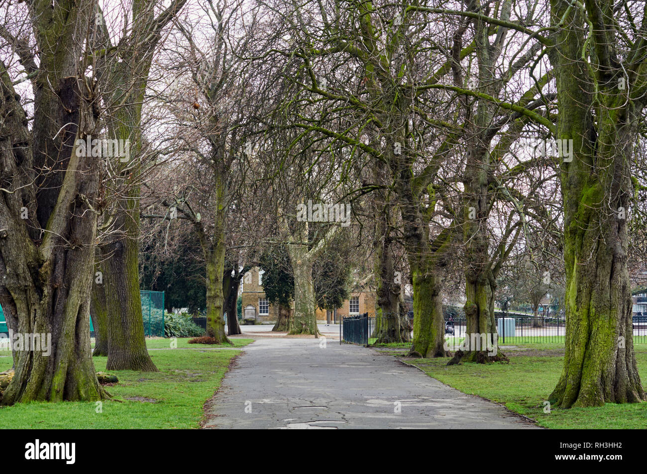 Arbres en hiver et sentier à Clissold Park, North London UK Banque D'Images