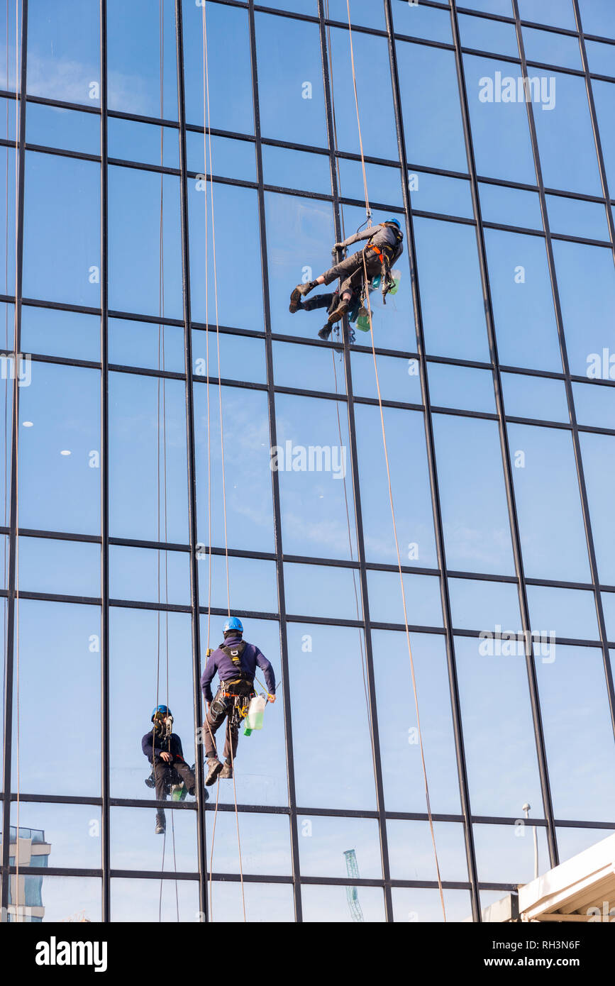 La descente en rappel de produit de nettoyage de l'hôtel Hyatt Regency à Birmingham le nettoyage des fenêtres réfléchissantes Banque D'Images