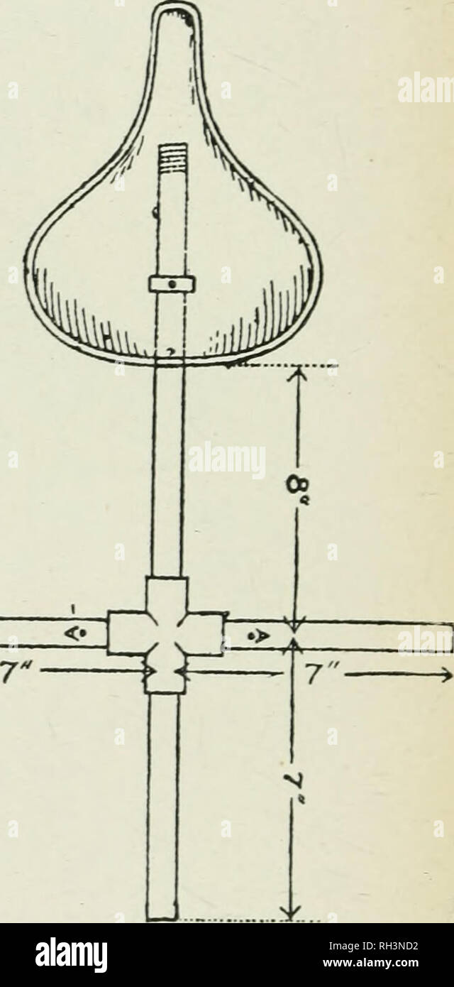 . British bee-keeper's guide pour la gestion d'abeilles dans des ruches-comb, et l'utilisation des appareils modernes de l'apiculture. L'illustration. La culture de l'abeille. 1S6 L'UTILISATION DE CONDUIT LES ABEILLES. Le tour du tuyau. Celui-ci est ensuite utilisée la selle. Les trois autres sont utilisés en collant un point dans chaque extrémité du tube, et l'autre dans l'skep, prenant soin d'appuyer sur la- skep tout en bas avant de pousser le point dans la paille. L'skeps pour être utilisé sur le côté ont stout string piquées dans environ 90 degrés d'écart, et en fixant ces un long morceau de chaîne est utilisée. C'est d'abord liée à la conduite des projets qui au Banque D'Images