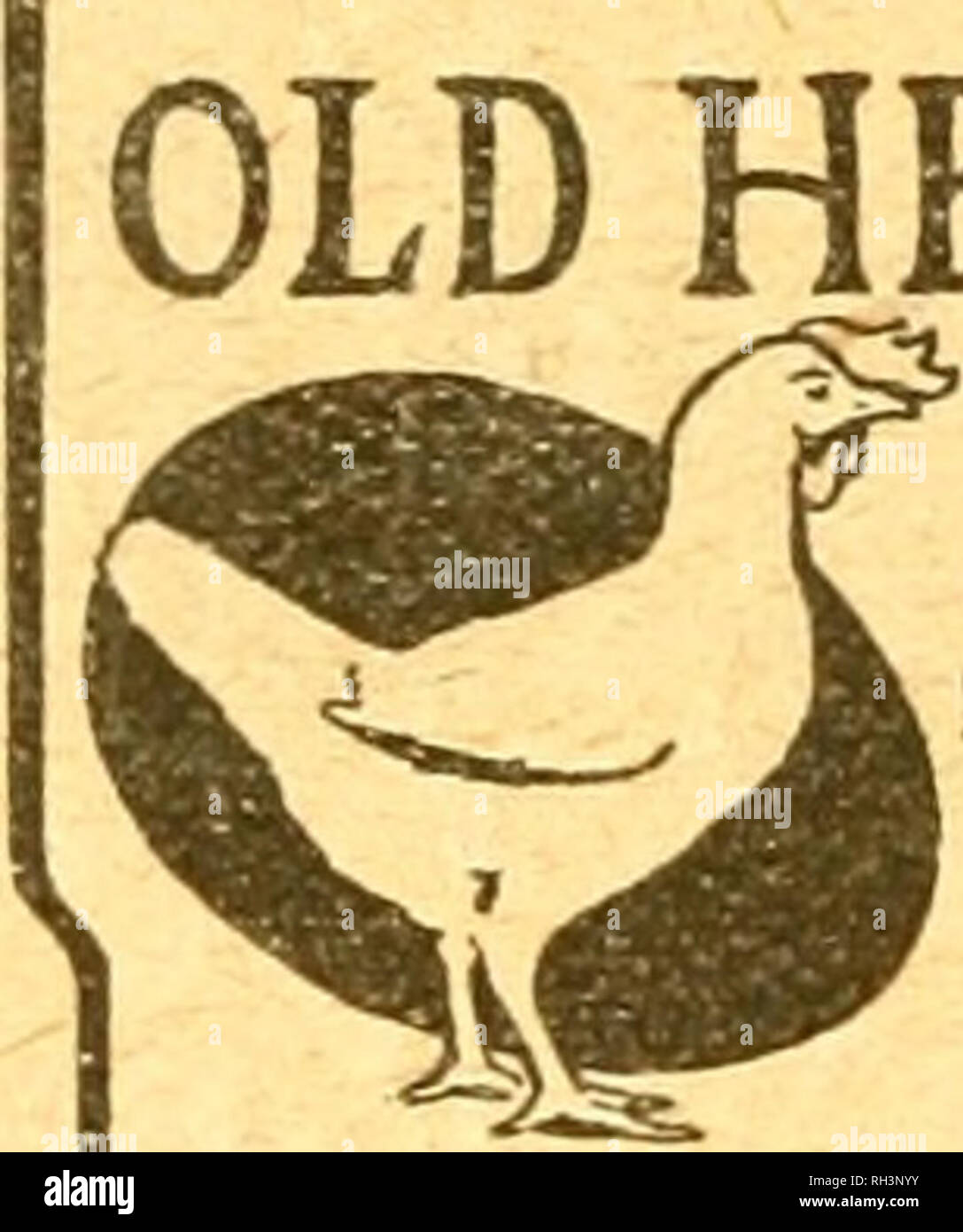 . British bee journal &AMP ; conseiller les apiculteurs. Les abeilles. La BRITISH BEE JOURNAL. 16 février 1922. C RTTPT* A 1JFl V Mbs. Publiez gratuitement 7/6 lO-lbs.lO/LJUjEj 6 V>l/JTVJ N U X , Réduction pour d'autres quantités. S. J. BALDWIN, Bromley, Kent. MjJMIHmillillllillllHIipHfllUIIHIIHM 1 dans l'ENSEIGNEMENT THÉORIQUE ET PRATIQUE DE L'APICULTURE JE | §§ Mon rucher sera ouvert à un nombre limité d'élèves  = durant cette saison. Conditions et mentions !| W. HERROD-HEMPSALL, | | L'W.B.G. Le rucher, Old Bedford Road, Luton, Bedfordshire. | ^IIIIIIIIIIIIIIIIIIIIIIIIIIIIIIIIIIIIIIIIIIIIIIIIIIIIIIMIIIIIIN. Veuillez noter Banque D'Images