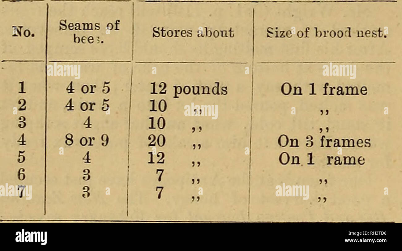 . British bee journal &AMP ; conseiller les apiculteurs. Les abeilles. 128 LE BRITISH BEE JOURNAL. [31 mars 1892. État actuel des abeilles. [985.] Je viens d'examiné sept des neuf niy stocks d'abeilles, et tiens à vous dire comment je les ai trouvés, et seraient tenus pour des conseils ou des remarques que vous pourriez formuler à ce sujet. J'ai ouvert le lundi 21 mars, pour la première fois depuis octobre 1891, quand j'ai couvert pour l'hiver. N° 1 est un stock de Ligurie, et no 2 croisé avec noir, Carnioliennes et le reste noir.. Les numéros 6 et 7 sont deux petits lots d'abeilles entraînée Je m'avait donné l'automne dernier. Je foun Banque D'Images