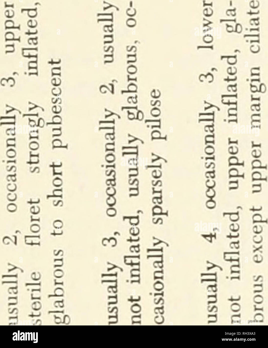 Bulletin Scientifique De L Universite Brigham Young Biologie Periodiques Serie Biologique 19 N 2 Taxonomie Du Genre Chloris Cr Mine E 49 S 1 1 A A S 3 I 13 13 3 A