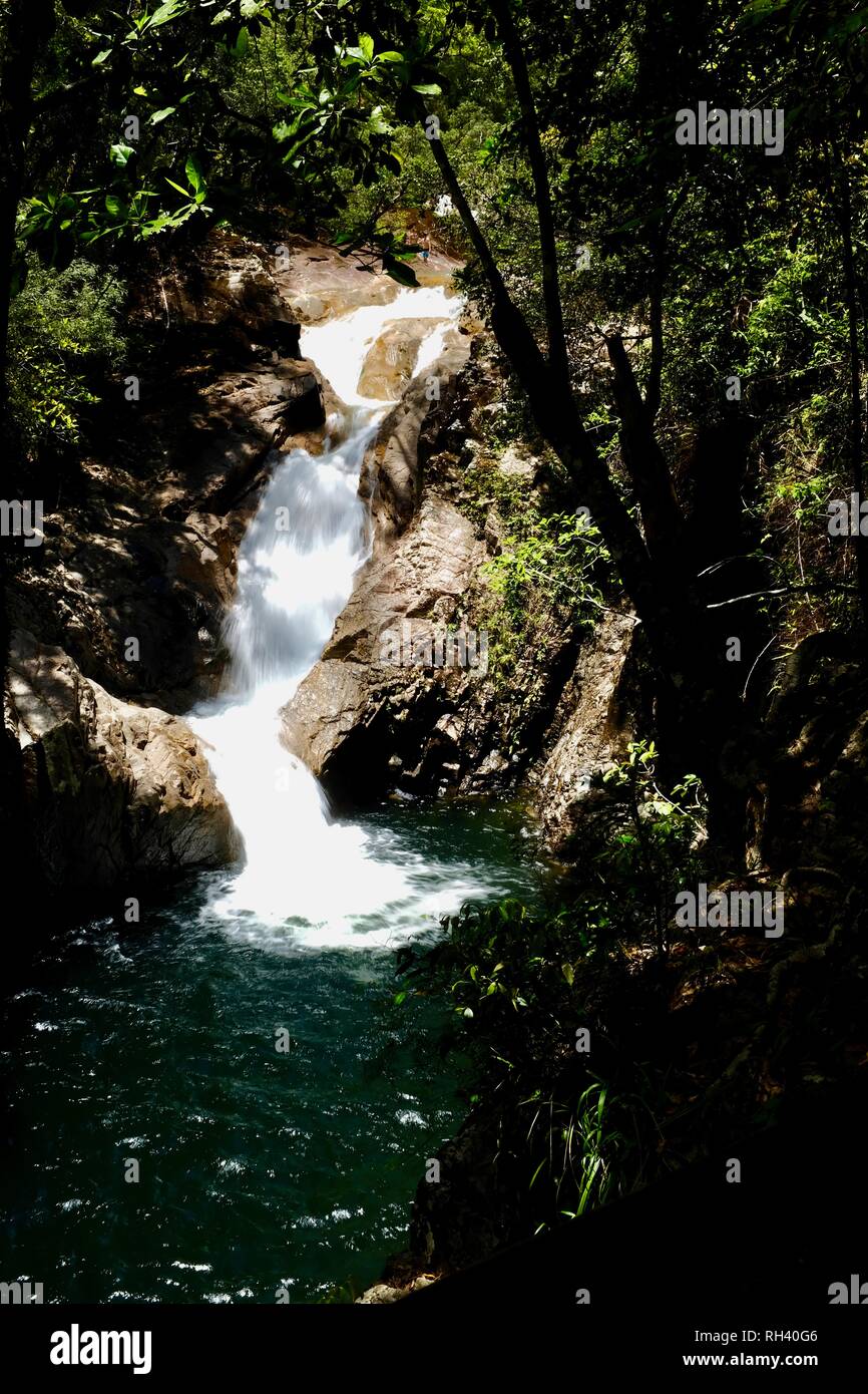 Chutes d'Araluen également connu sous le nom de Cascades d'Araluen l'envoi de l'eau courante fraîche dans la piscine tropicale, holstream 4756 Finch Hatton, Queensland, Australie Banque D'Images