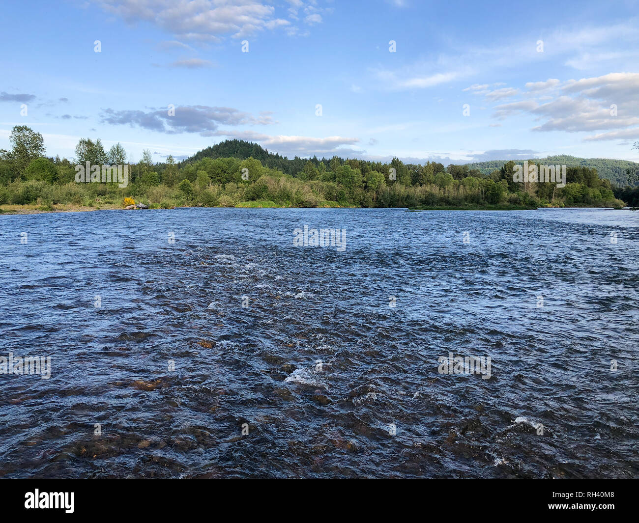 De l'Oregon de McKenzie River Fly Fishing Trip en mai Banque D'Images