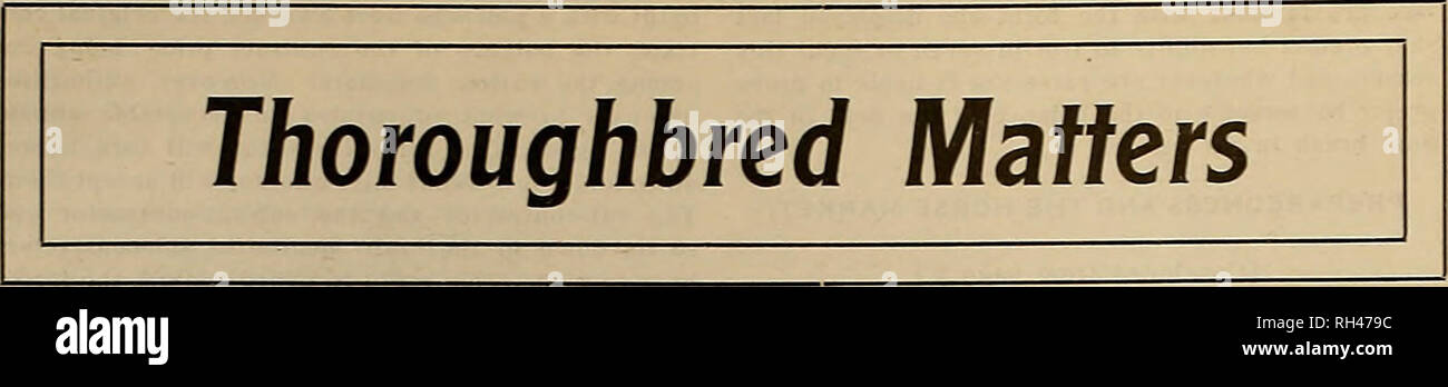 . Source et sportsman. Les chevaux. L'OBTENTEUR ET SPORTSMAN [Samedi 18 mars 1916. KENTUCKY DERBY tire bien. Des chevaux IMPORTÉS DE COURSE CETTE ANNÉE. LEE ROSE POUR GÉRER TIA JUANA. Tant de cavaliers américains ont profité de la période difficile sur la mer jusqu'à reconstituer leurs avoirs avec des infusions de la branche européenne de la famille des pur-sang que l'ensemble des chevaux importés de l'âge de course a atteint des proportions tout à fait impressionnants. Autant d'intérêt a été affiché dans les nouveaux venus que le Jockey Club a préparé une liste de ceux de l'âge des courses maintenant sous-américain ownershi Banque D'Images
