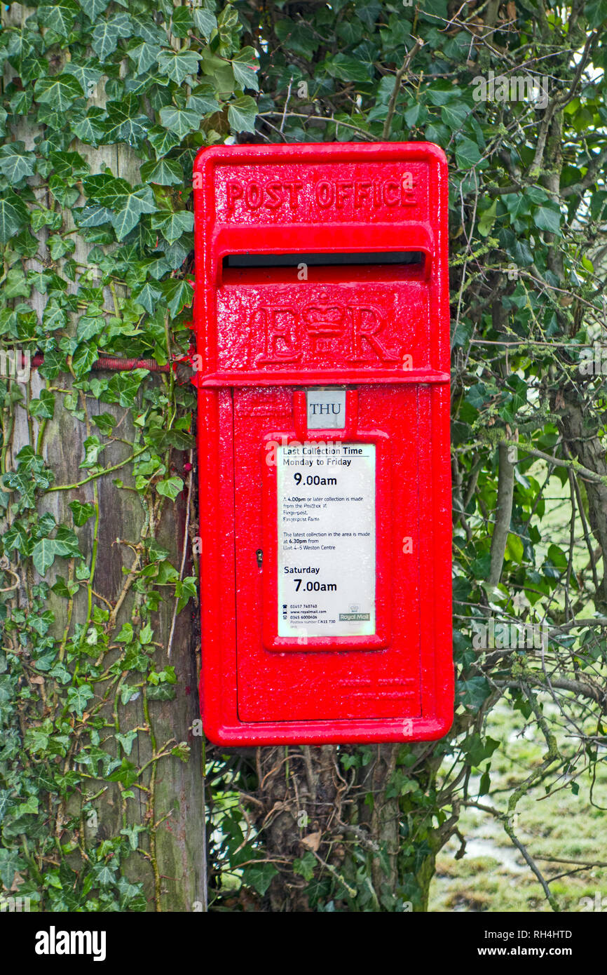 Red Royal Mail post office post box couvert de lierre sur un poste dans les régions rurales de la campagne anglaise Banque D'Images