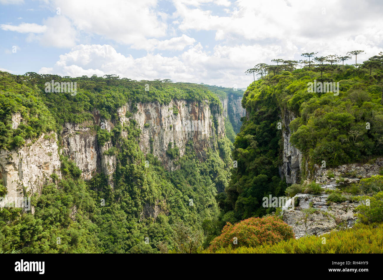 Beau paysage de Canyon Itaimbezinho et vert forêt, Cambara do Sul, Rio Grande do Sul, Brésil Banque D'Images