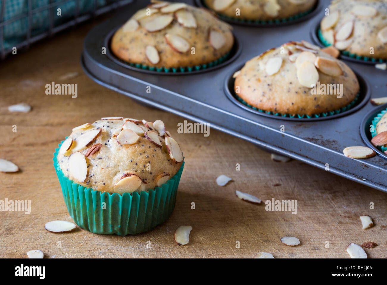 Seul muffin pavot aux amandes à bord en face de muffin étain. Banque D'Images