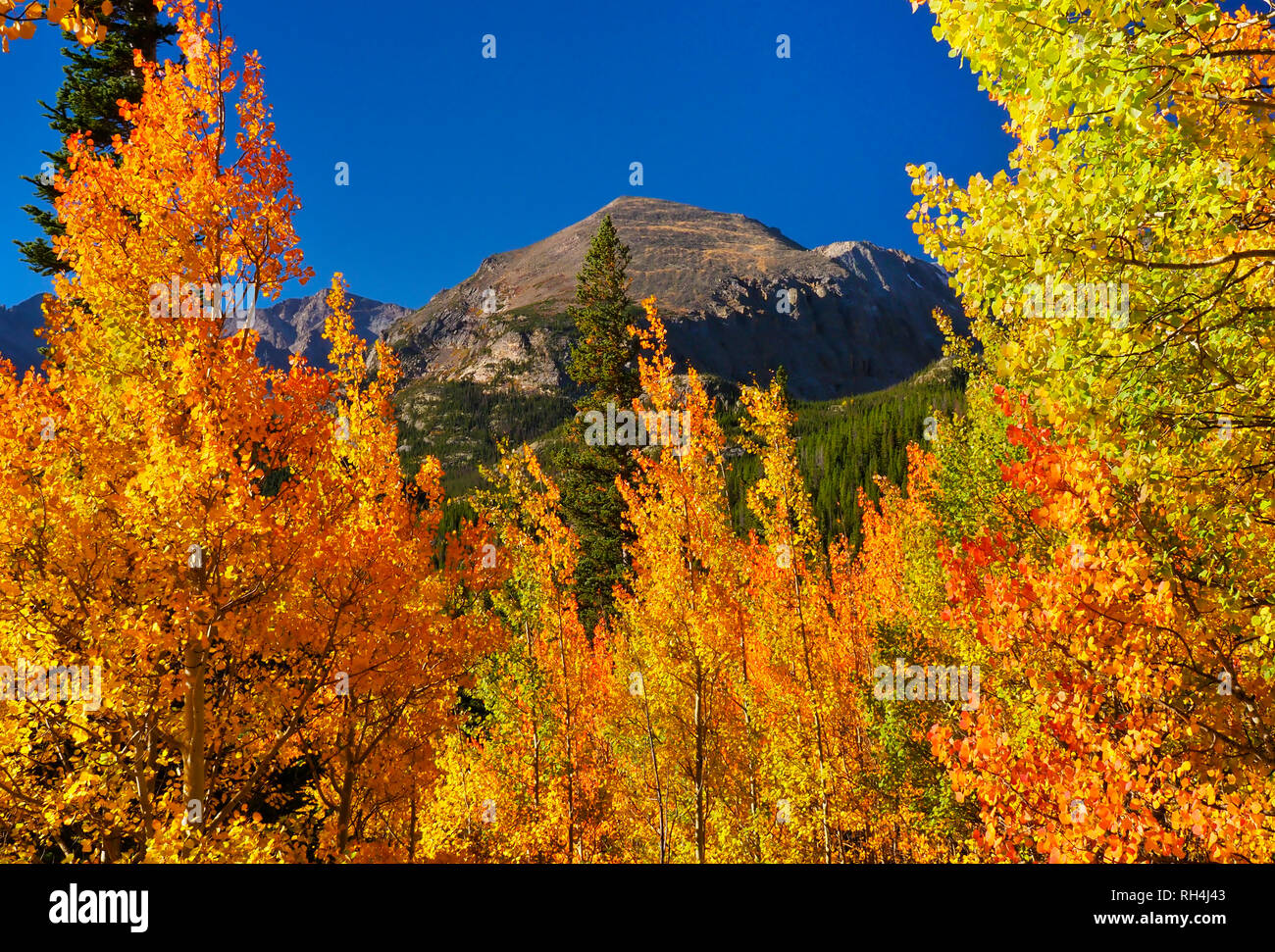 Bierstadt Lake Trail, Rocky Mountain National Park, Estes Park, Colorado, USA Banque D'Images