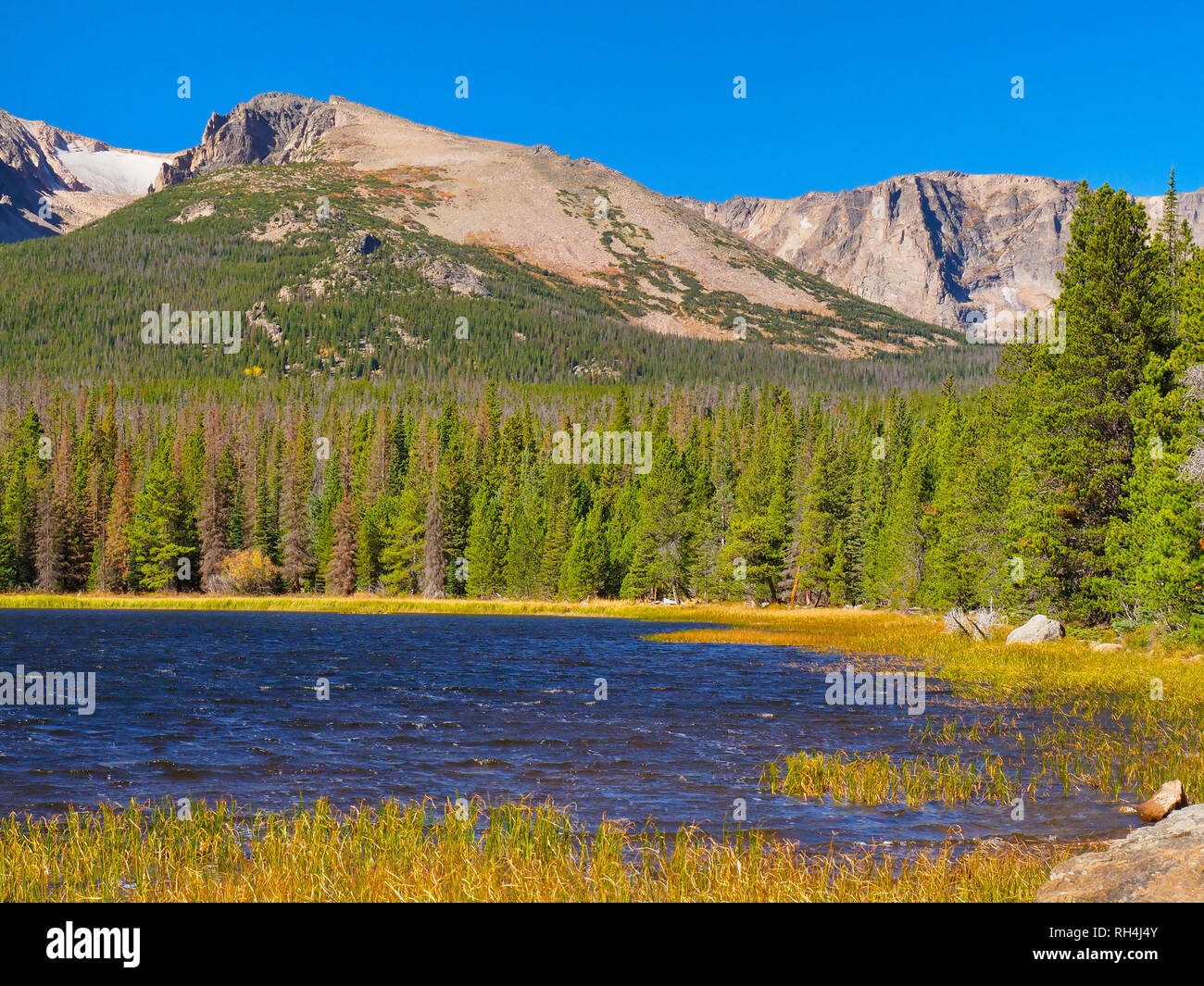 William Williams Lake, William Williams Lake Trail, Rocky Mountain National Park, Estes Park, Colorado, USA Banque D'Images