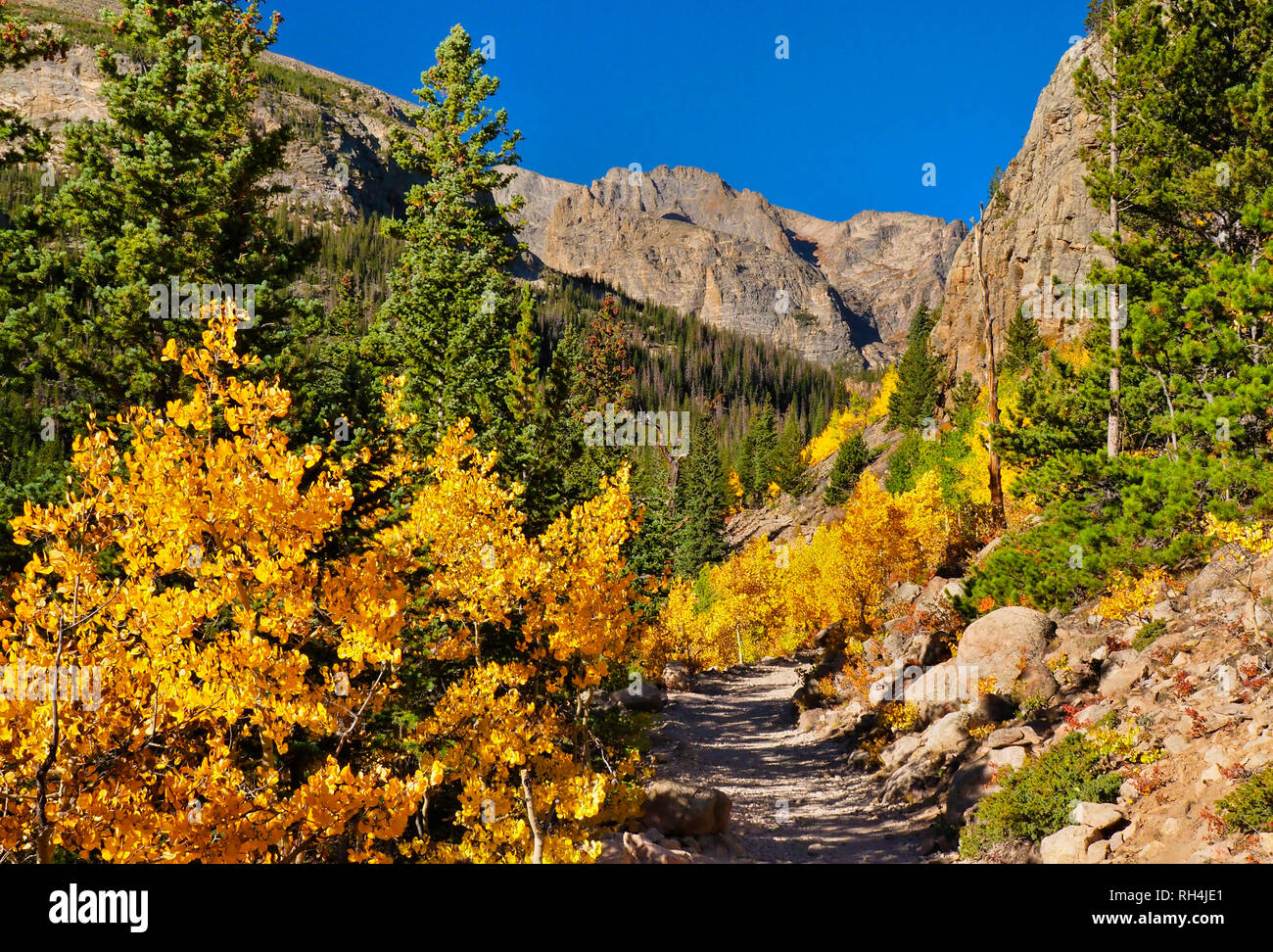 Sentier du lac Mills, Rocky Mountain National Park, Estes, Colorado, USA Banque D'Images