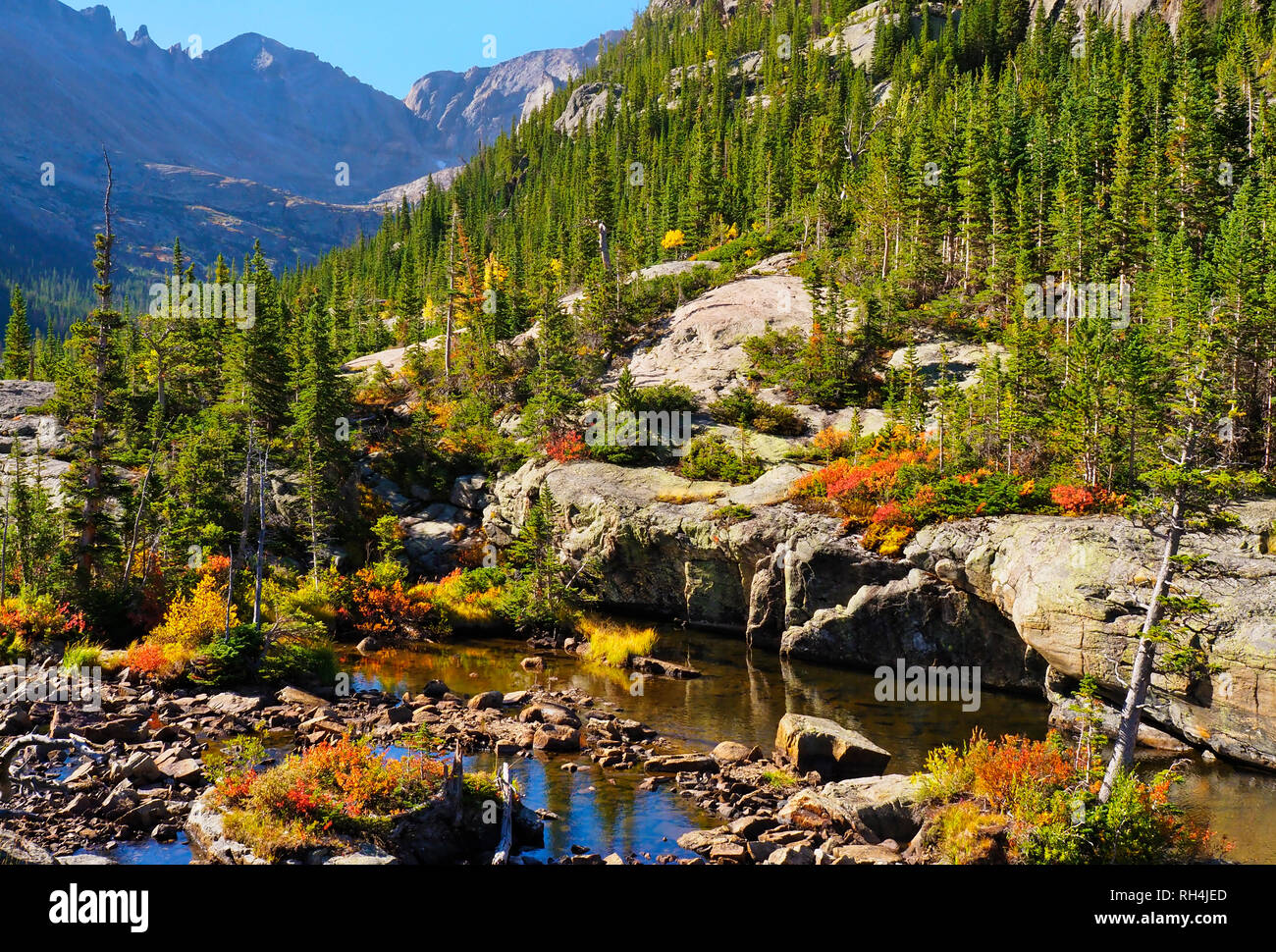 Sentier du lac Mills, Rocky Mountain National Park, Estes, Colorado, USA Banque D'Images