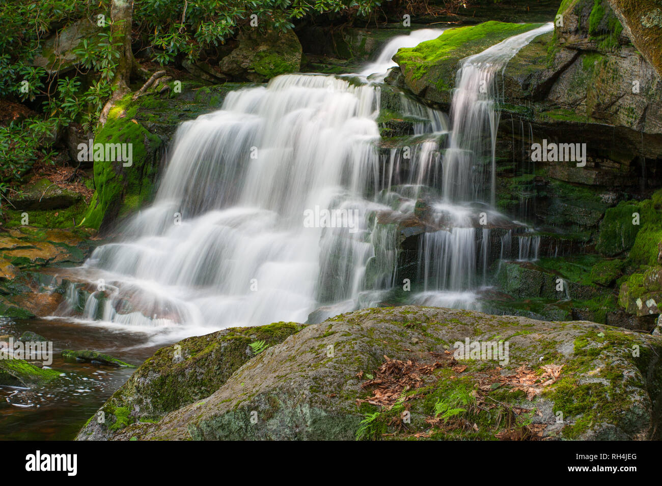 Elakala Falls # 2, Virginie-Occidentale Banque D'Images