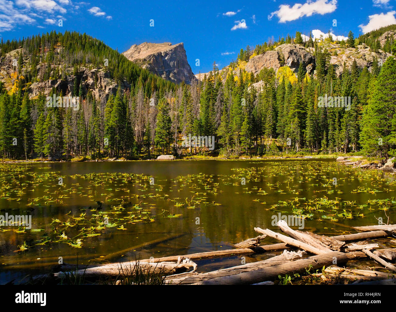 Lac de nymphe, Dream Lake Trail, Rocky Mountain National Park, Estes, Colorado, USA Banque D'Images