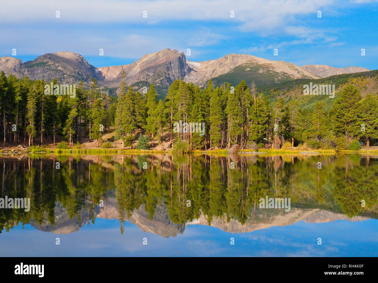Le pipit de Sprague, le lac Lake Trail, Rocky Mountain National Park, Estes, Colorado, USA Banque D'Images