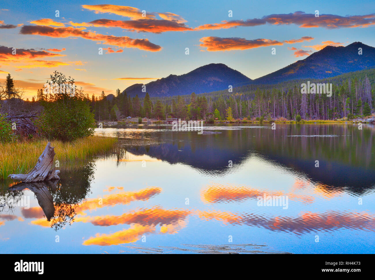 Lever du soleil, le Pipit de Sprague, le lac Lake Trail, Rocky Mountain National Park, Estes, Colorado, USA Banque D'Images