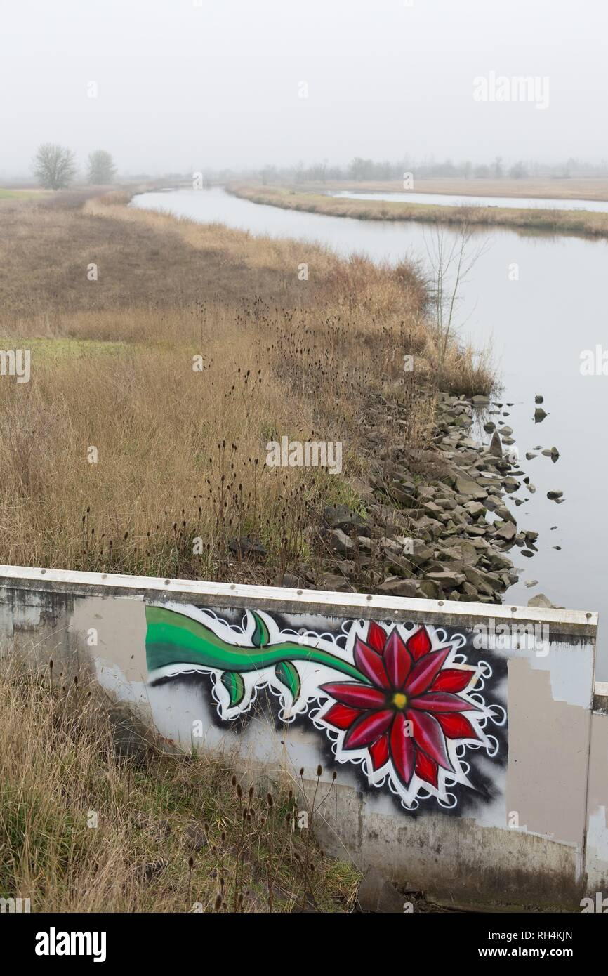 Fleur Graffiti suivant pour Amazon Creek à Eugene, Oregon, USA. Banque D'Images