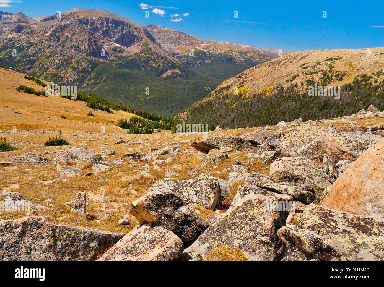 Sentier du SEI SEI, passage à niveau, Trail Ridge Road, Rocky Mountain National Park, Estes Park, Colorado, USA Banque D'Images