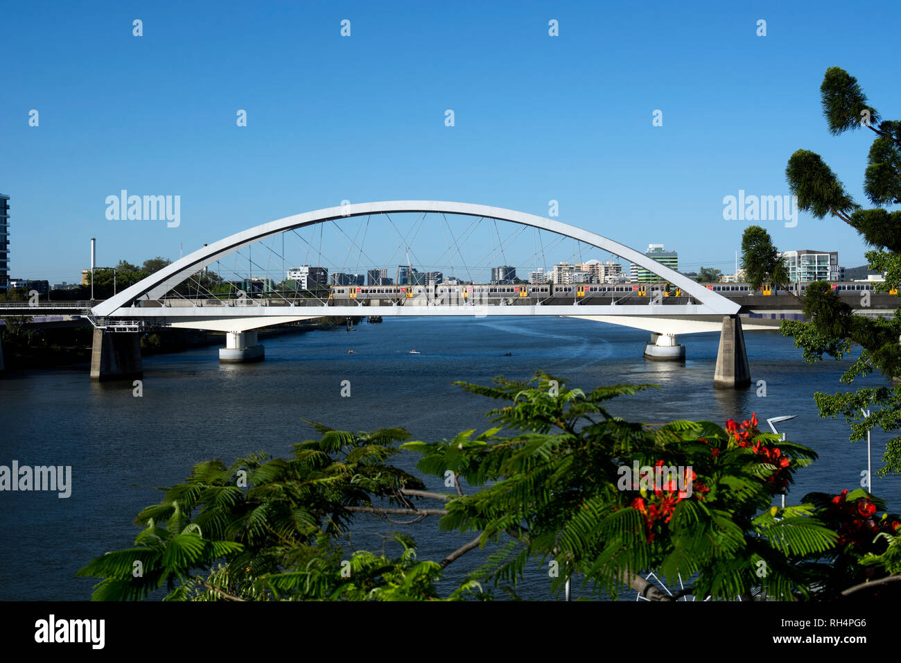 Le fleuve Brisbane et le pont du chemin Merivale, Brisbane, Queensland, Australie Banque D'Images