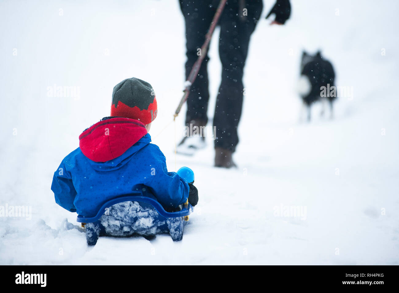 Allemagne, Pfronten : Januar 2019. Père tirant Snow Bob. Familie avec un chien. Banque D'Images