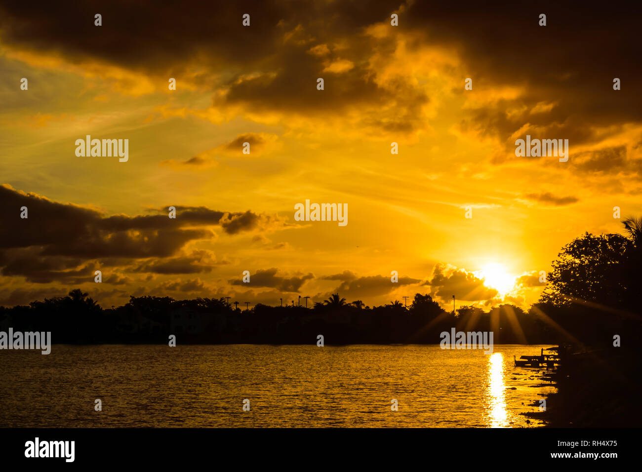 Lever de soleil spectaculaire derrière un lac en Floride. Arbres en silhouette. Banque D'Images