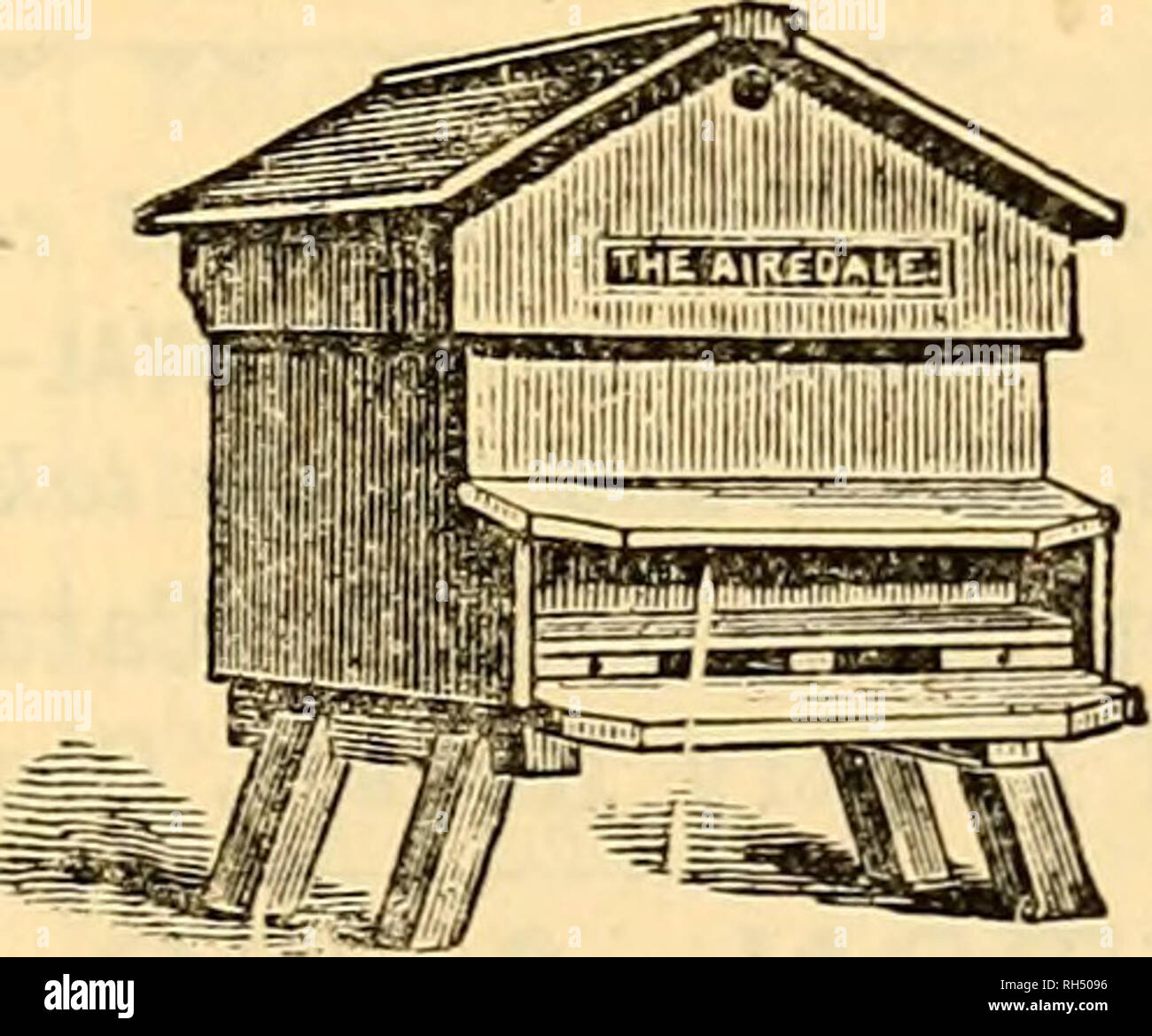 . British bee journal &AMP ; conseiller les apiculteurs. Les abeilles. G juin 1895.] LE BRITISH BEE JOURNAL. 229 Annonces prépayées spécial. Situations, les publications, les plantes mellifères, Ae. - Jusqu'à 12 mots, Sixpence ; pour chaque tranche de trois mots ou moins, un sou. Noir pur les abeilles, les essaims, les noyaux, les reines, maintenant prêt. Alsforp, Expert, Blandford. H 23 F H lES. - Un petit nombre d'essaims POUR LA VENTE. Pour le prix, s'appliquent, Giles, Cowsftel avait rucher, Salisbury, h 35. IVES, &amp;c. Pour la vente. Prix bas. 27 X., Chevalier's Hill-road, S.E. H 40 W ANTED, catalogues pour des tenues d'abeilles. Les plantes. Balcombe, 11, rue Nelson, Favershara, Ken Banque D'Images