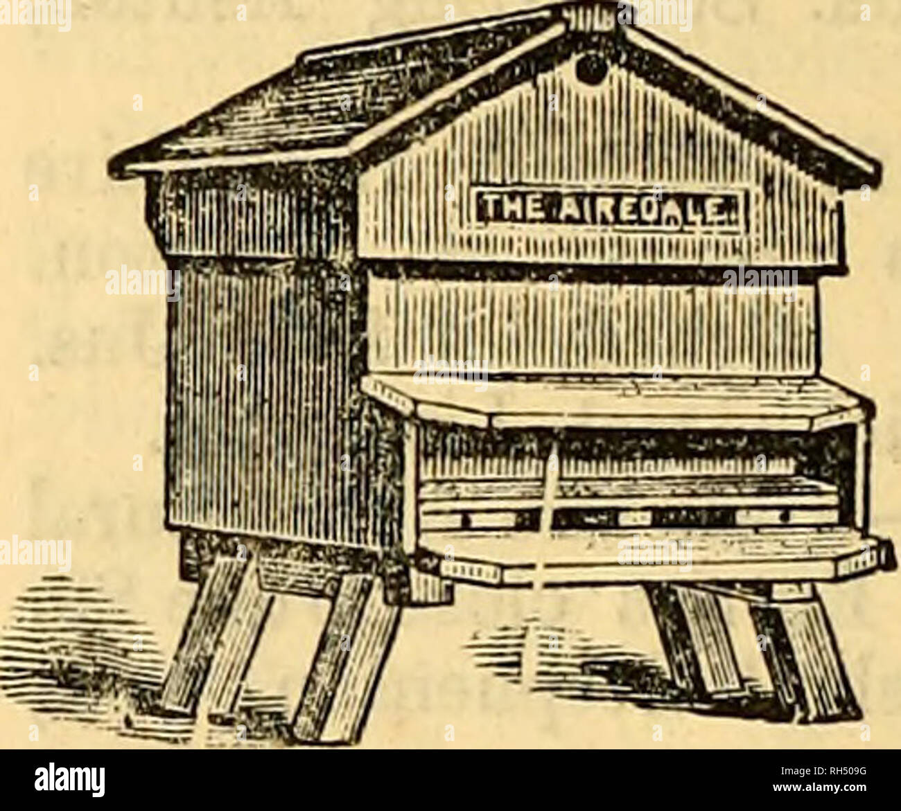 . British bee journal &AMP ; conseiller les apiculteurs. Les abeilles. 220 LE BRITISH BEE JOURNAL. [30 mai 1895. Annonces prépayées spécial. Situations, les publications, les plantes mellifères, TBE. Â jusqu'à douze mots, Sixpence ; pour chaque tranche de trois mots ou moins, un sou. Noir pur les abeilles, les essaims, les noyaux, les reines, maintenant prêt. Alsfoud, Expert, Blandford. H 23 "réchauffe, mai et juin, 12s. 6d. chaque, ou 3s. 3d. lb. ) Rev. â Jarvis, Stroud, Gloucestershire, H 17 B SEE. Â quelques essaims POUR LA VENTE. Pour le prix, s'appliquent, Giles, Cowsfield rucher, Salisbury, h 35. Â JE C) PLANTES BOURRACHE FORTE envoyé à l'adresse -L^-1 en loisir Banque D'Images