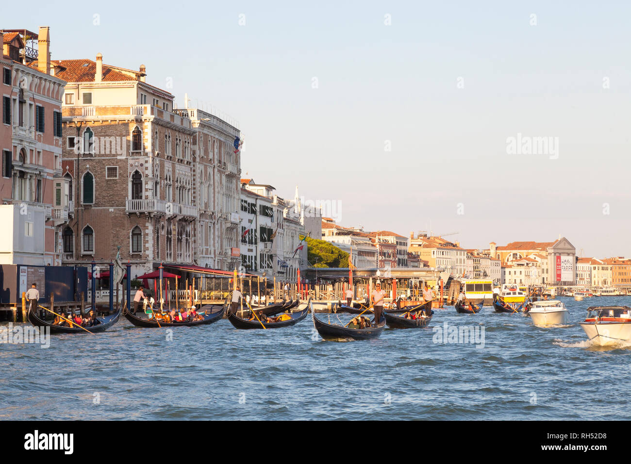 Grand tour group in gondoles au coucher du soleil sur le Grand Canal, San Marco, Venise, Vénétie, Italie en lumière dorée Banque D'Images