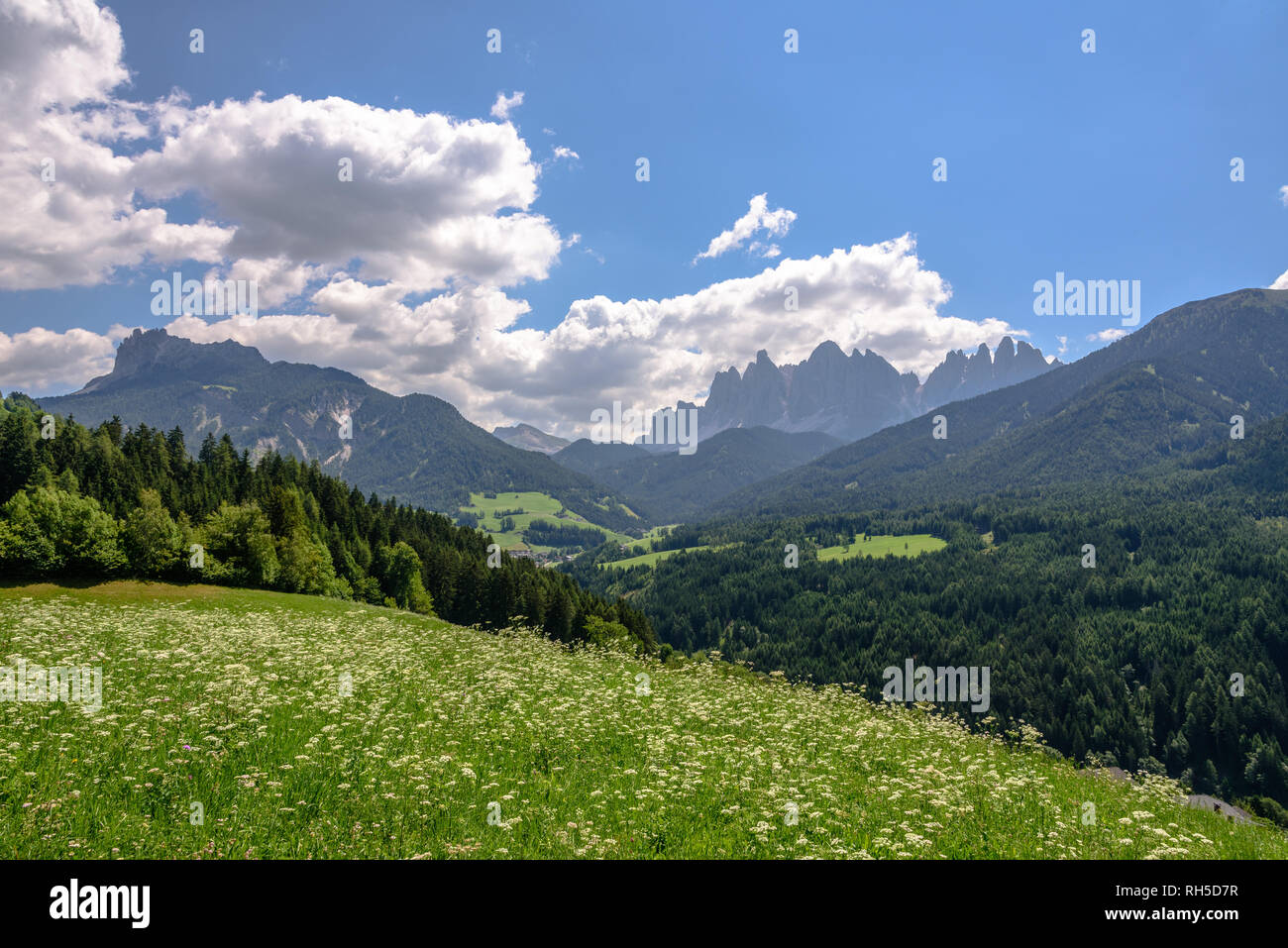Val di Funes / Behrensdorf avec les sommets des Dolomites s'élevant au-dessus de l'été Banque D'Images