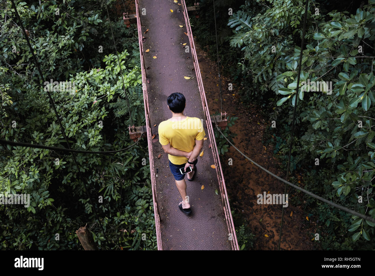 Homme marchant sur Canopy Walkway dans Thung khai (jardin botanique) Banque D'Images