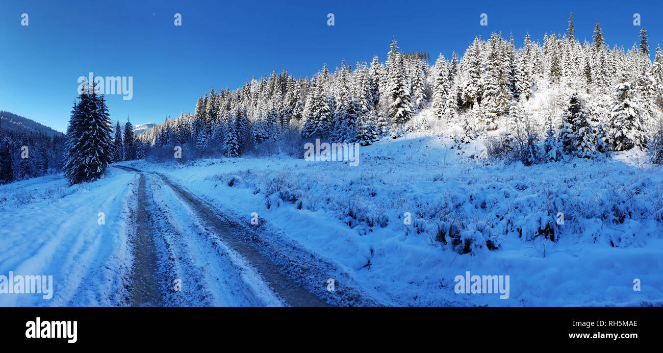 Beau paysage d'hiver. La route d'hiver dans les montagnes de neige entre les sapins verts. Banque D'Images