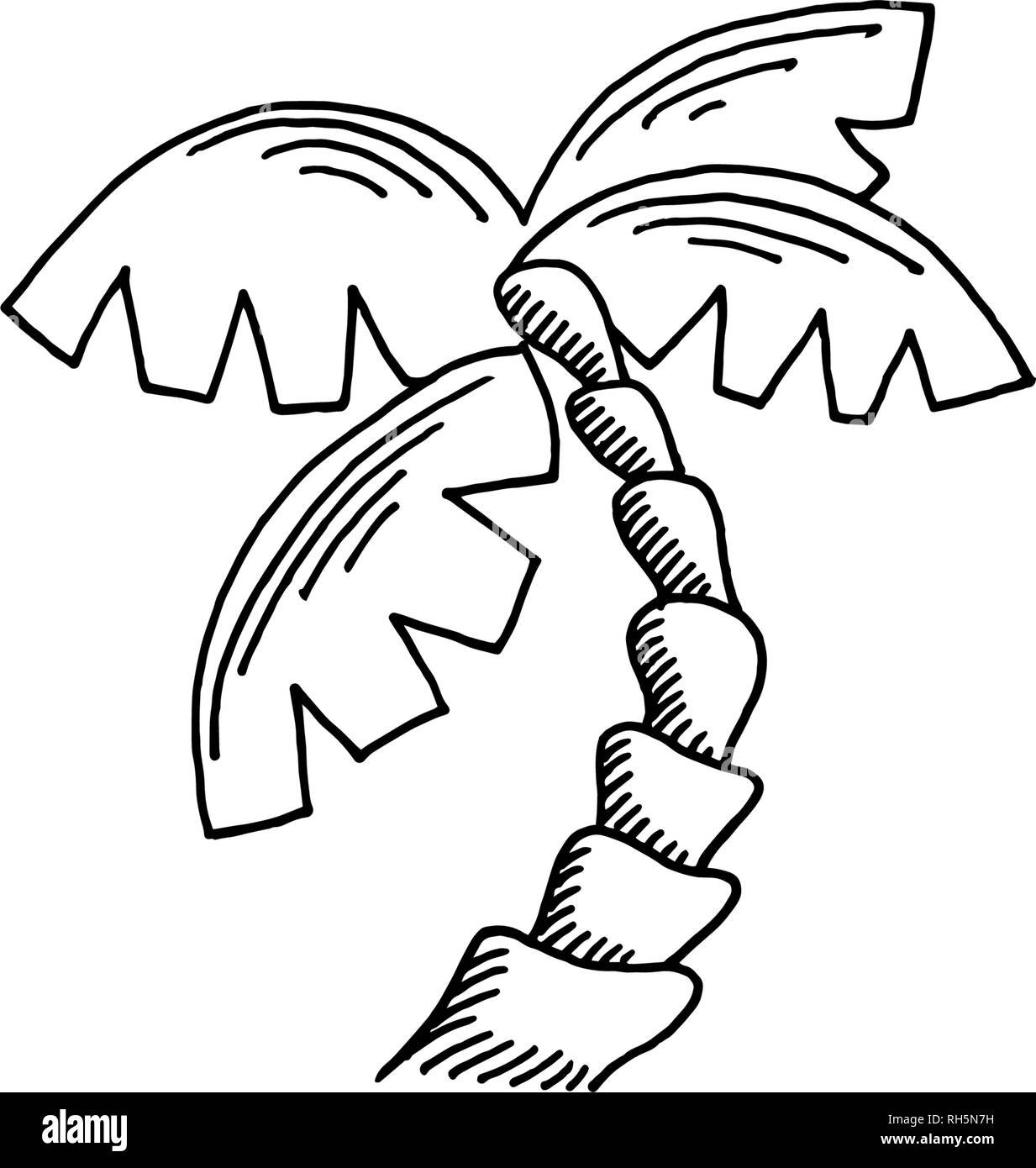 Palmier esquisse le thème d'icône Illustration de Vecteur