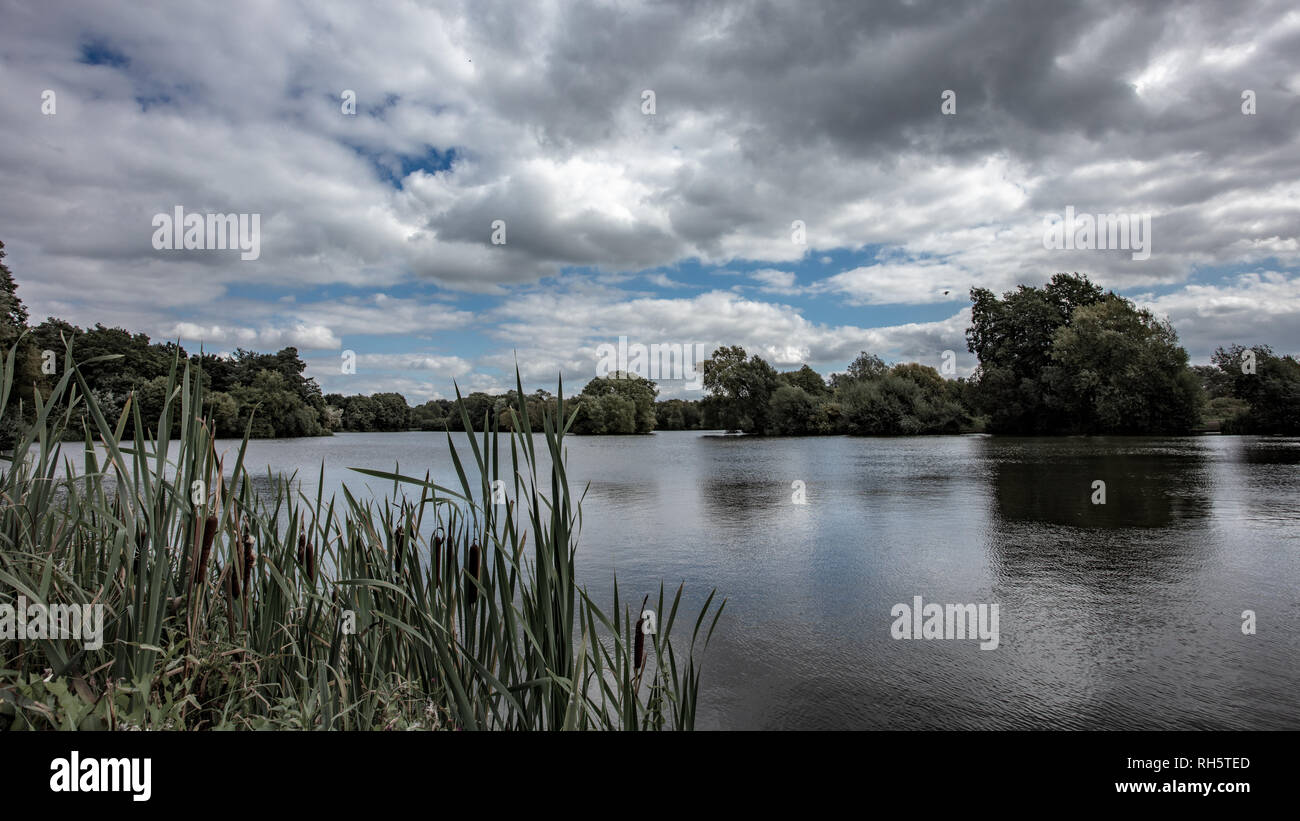 Le Lac de West Stow Banque D'Images