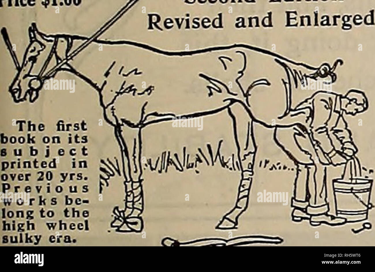 chevaux trotteurs réformés à vendre