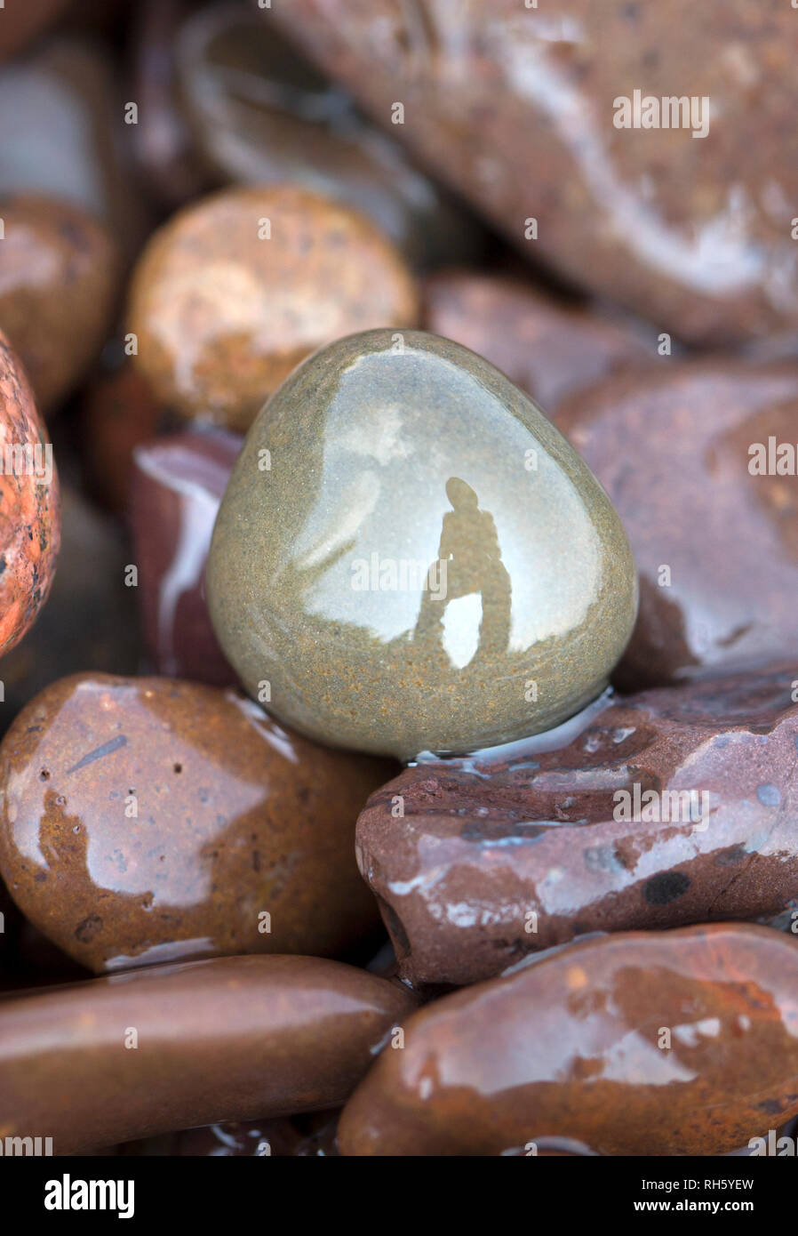Réflexion d'un "Rock Hound" à la recherche d'agates le long de l'Agate Beach de la rive nord du lac Supérieur, Minnesota, United States Banque D'Images