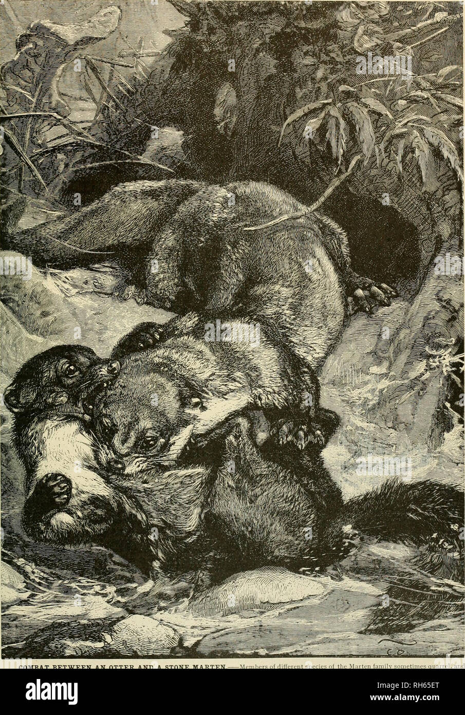 utilisation pierre de rencontre