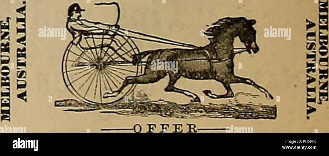 . Source et sportsman. Les chevaux. Vente aux enchères de poulinières HAUTE PRODUITES TROTTANT, étalons, hongres et pouliches, road- sters, etc., etc., les biens de la succession de feu DA NIBL COOK. Pour être vendu le mercredi 28 février 1883, à 11 A. M., à la Oakland Park au trot. Prendre le train pour Berkeley Station Shell Mound. Win Stock être sur exposition au parc, lundi 26 février. Catalogues et tous les renseignements nécessaires peuvent être ob- talned du soussigné. KIOJp Anctioneers ^ m, 116 Montgomery St. Paul FRIEDHOFER, ^cheval-SHOER pathologique. 116 Washington Street. En pratique TOUTES SES DIVERSES BRAN Banque D'Images