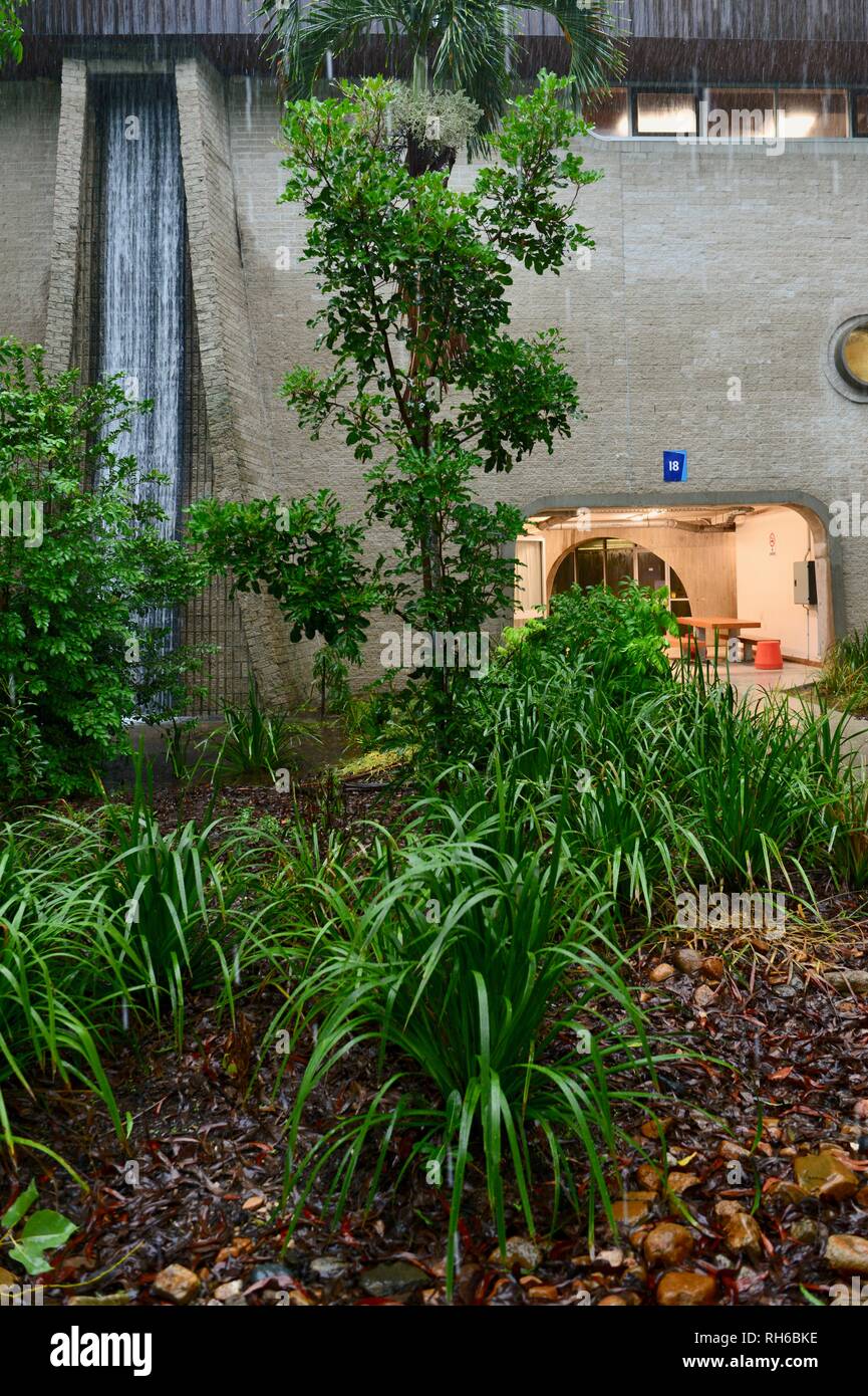 Un 1 en crue centennale à Townsville, Queensland, Australie, en janvier et février 2019 Banque D'Images