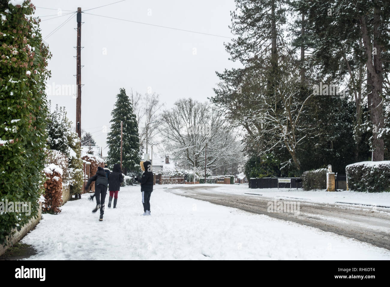 Reading, UK. 1er février 2019. Météo France : la neige tomba lourdement la nuit dans les rues de quitter la lecture et les routes blanches de neige fondante. Matthieu Ashmore/Alamy Live News Banque D'Images