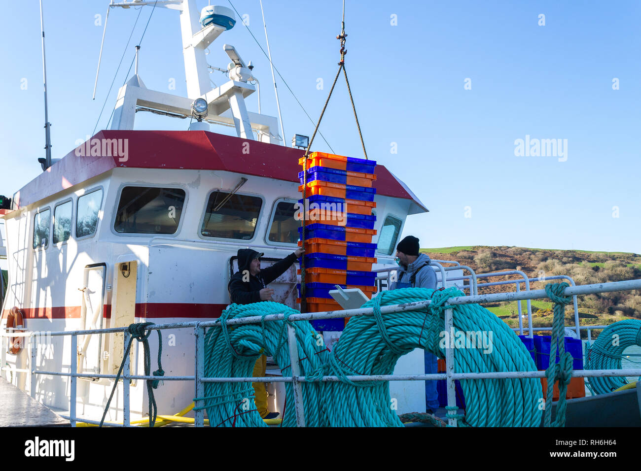 Les pêcheurs sur le bateau de pêche Les Galanques débarquer leurs prises dans un vent très froid. Cette capture mixte de poisson blanc a été chargé tout droit sur un camion frigorifique. Union Hall West Cork Irlande Banque D'Images