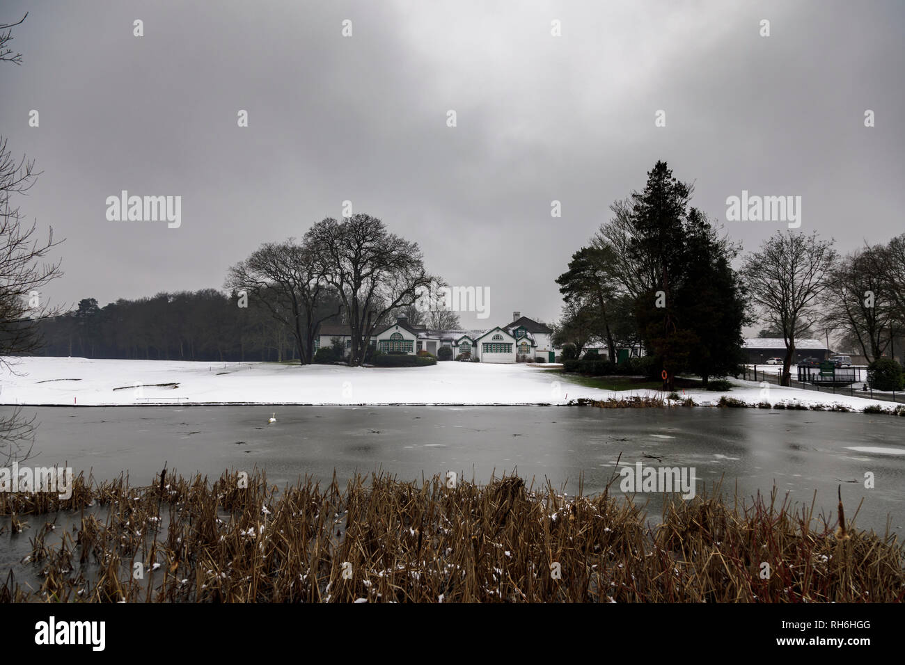 Woking, Surrey, au sud-est de l'Angleterre, Royaume-Uni, 01 février 2019. Après une nuit froide avec un peu de neige, une légère couche de neige recouvre le terrain de golf à Woking Golf Club à Hook Heath, Woking, Surrey, UK. La terne, sombre, météo ciel gris de plomb et des températures de gel produire un presque monochrome / paysage monochromatique et résulter en personne à l'extérieur jouer au golf : pas un bon jour pour être à l'extérieur à jouer au golf. Credit : Graham Prentice/Alamy Live News. Banque D'Images