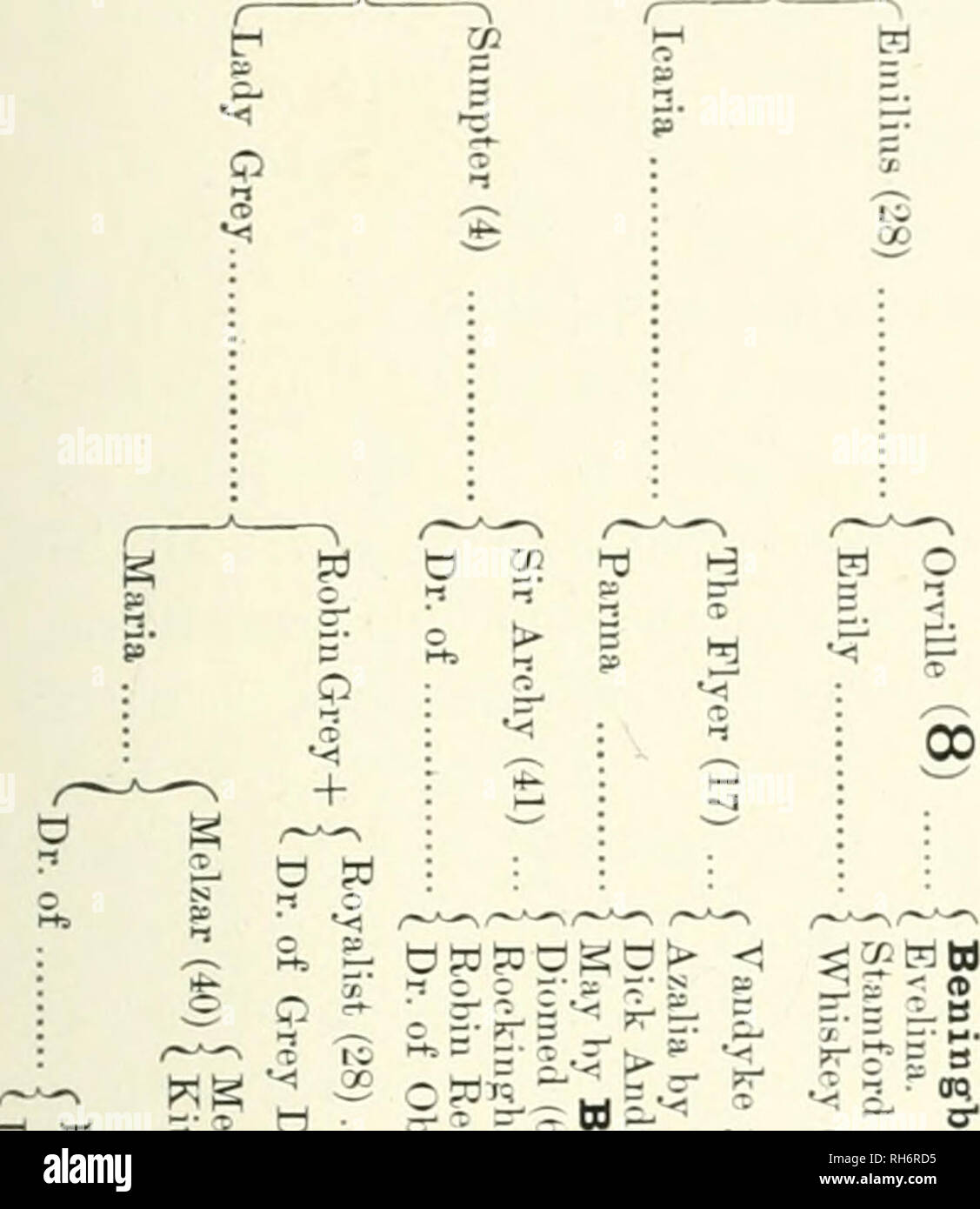 Chevaux De Reproduction Par La Figure Du Systeme Les Chevaux Les Courses De Chevaux Certains Peches De L Australie J Ji Lexington Alice Carneal 12 Sabpedon Tl Qhj K W Y A