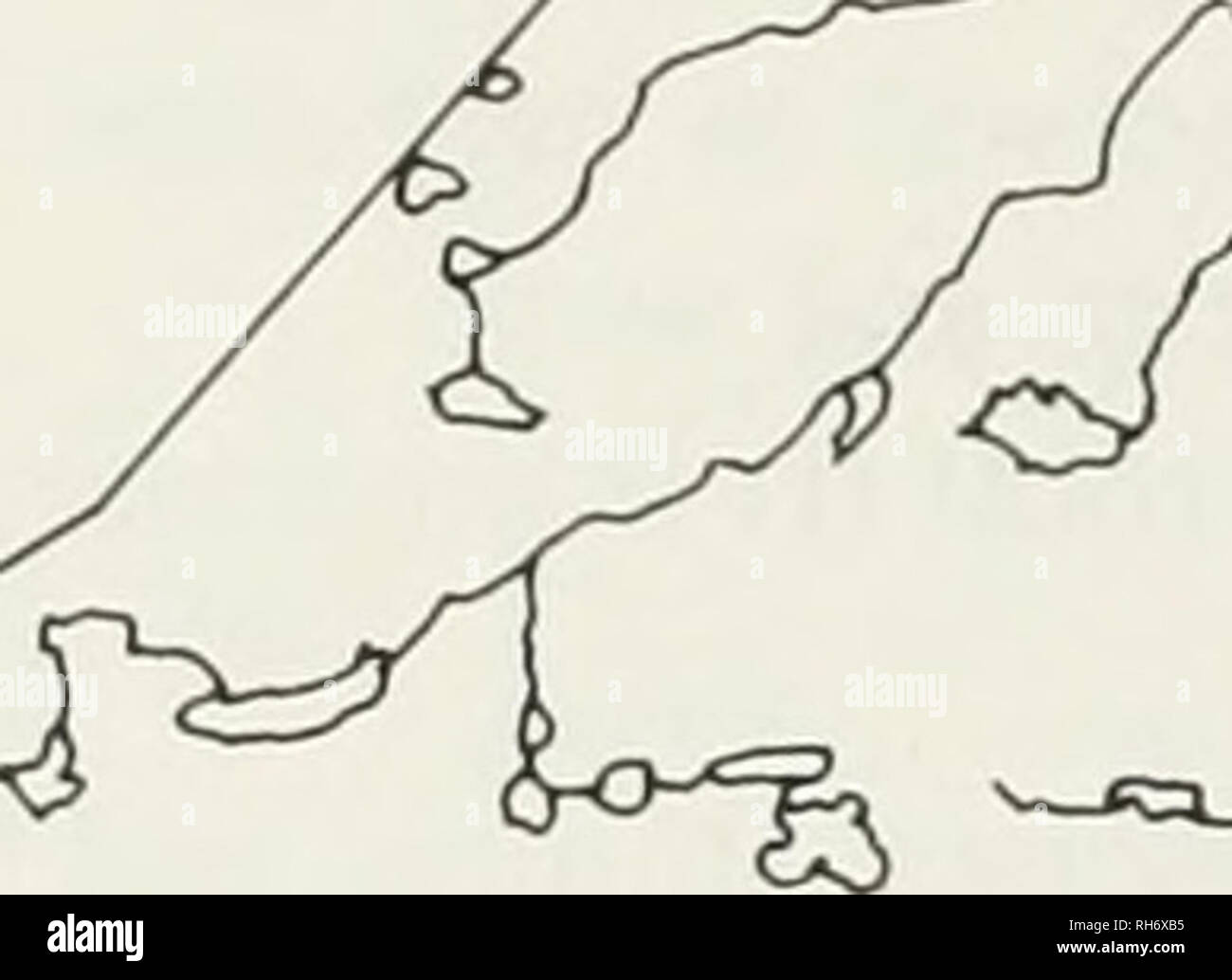 . Oiseaux nicheurs de l'Ontario : nidiology et la distribution. Les oiseaux ; les oiseaux ; les oiseaux. ^ ^ ^&gt ; fig. 47 Répartition des mentions de nidification pour Red-breasted merganser. m â â â f vXV km 0 100 200 300 200 98 01 mi. Veuillez noter que ces images sont extraites de la page numérisée des images qui peuvent avoir été retouchées numériquement pour plus de lisibilité - coloration et l'aspect de ces illustrations ne peut pas parfaitement ressembler à l'œuvre originale.. Peck, George K ; James, Ross, 1943- ; Musée royal de l'Ontario. Toronto : Musée Royal de l'Ontario Banque D'Images