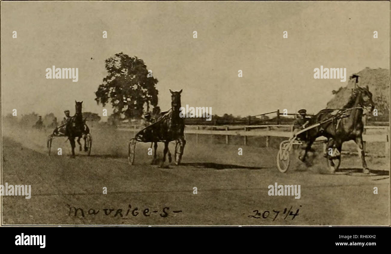 . Source et sportsman. Les chevaux. Le général dit : COUVRIR VOTRE grange, écuries et hangars à toiture en caoutchouc résistant aux intempéries - Compo. Payer moins POUR LE MIEUX. Whittier - Coburn Compagnie Distributeurs. SAN FRANCISCO. LOS ANGELES. bast pour les fondations, les planchers, parquet, sèche-linge fruits etc. etc. MT. DIABLO t ciment sèche-linge sols, etc. etc. SANTA CRUZ LIME MT. Le mieux pour la chaux DIABLO le briquetage et plâtrage. meilleur pour la pulvérisation et blanchir. Écrire POUR DES INFORMATIONS ET PRIX SUR TOUS LES MATÉRIAUX DE CONSTRUCTION. COWEIX HENRY LIME &AMP ; CEMENT COMPANY 9 MAIN STREET, SAN FRANCISCO. Maurice S.. Le gagnant 2:15 rythme Banque D'Images