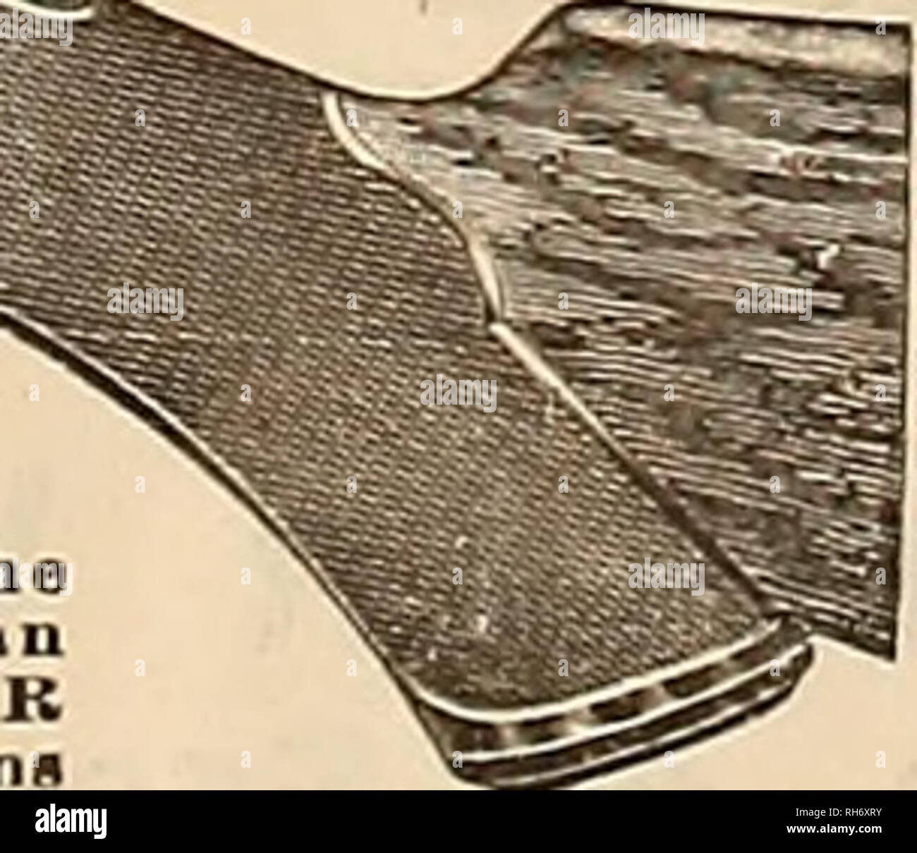 Source Et Sportsman Les Chevaux Parker Est Synonyme De